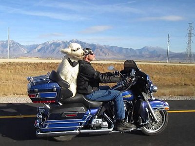 If in doubt, buy a bike If in doubt, buy a bike